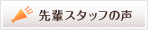 先輩スタッフの声